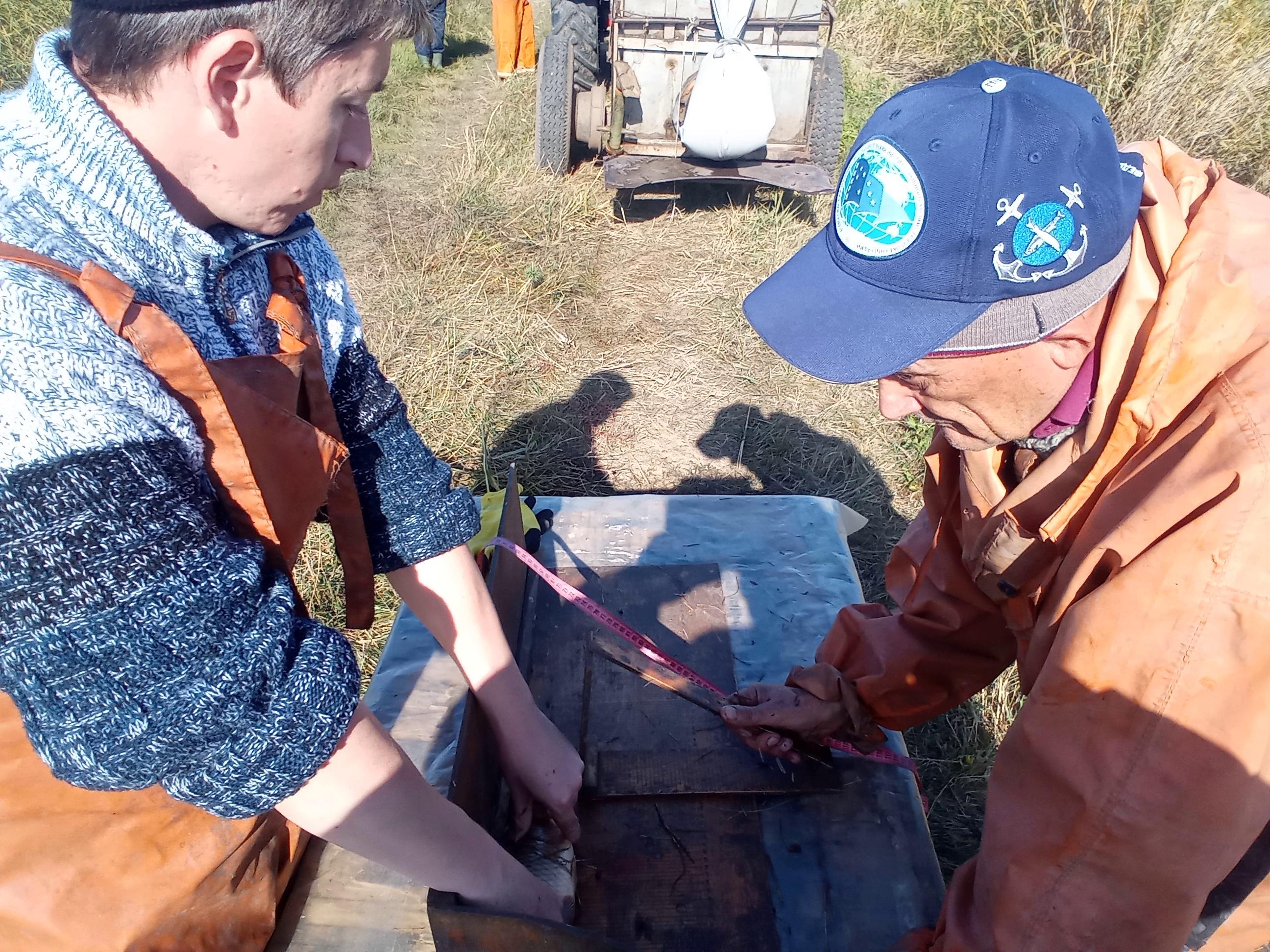 1 бонитировка осень