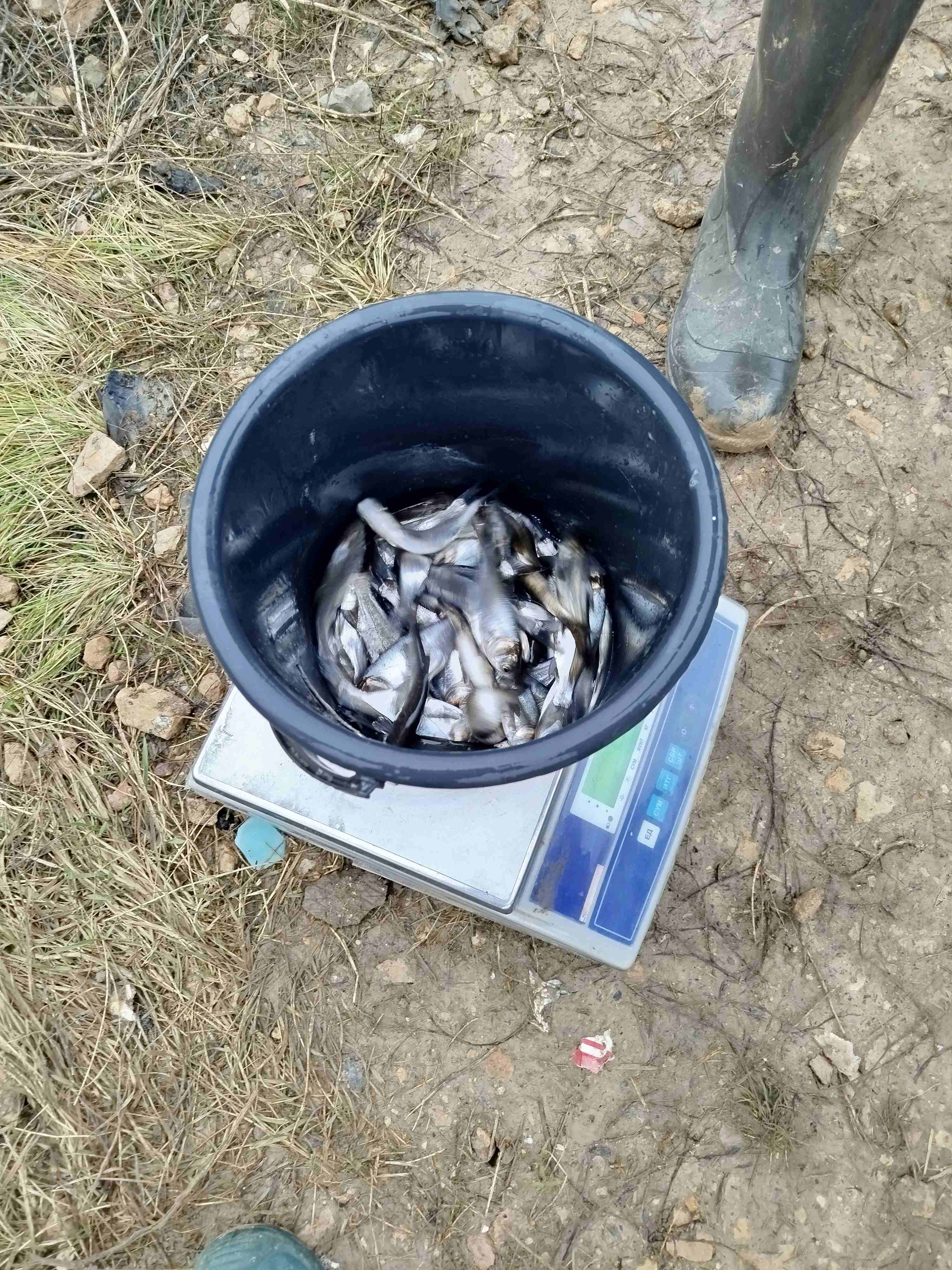 2 10.11.25 выпуск