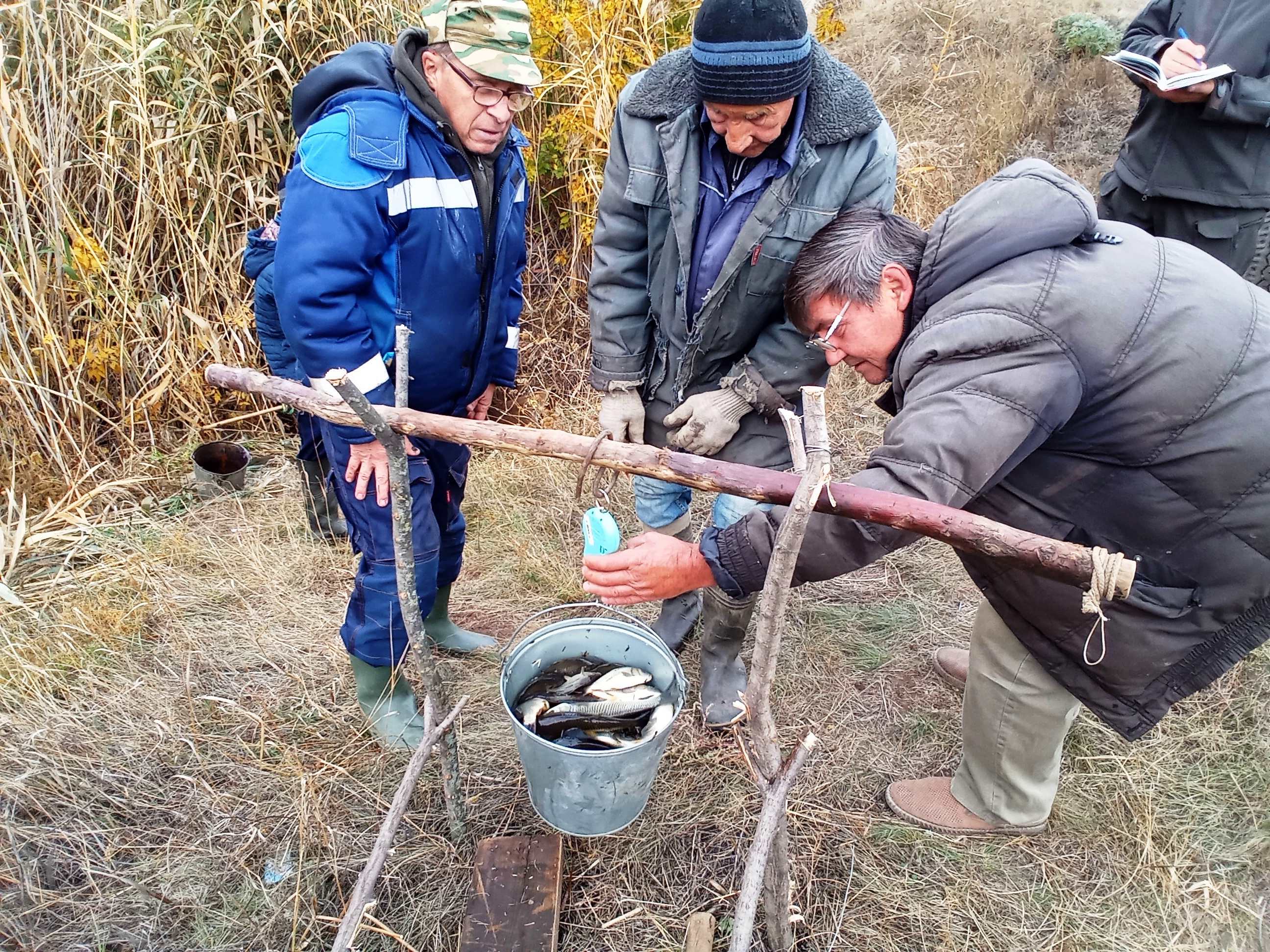 4 выпуск сазана октябрь