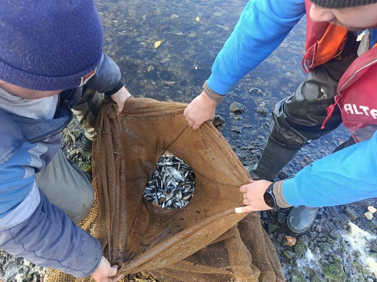 9 ириклинская грэс