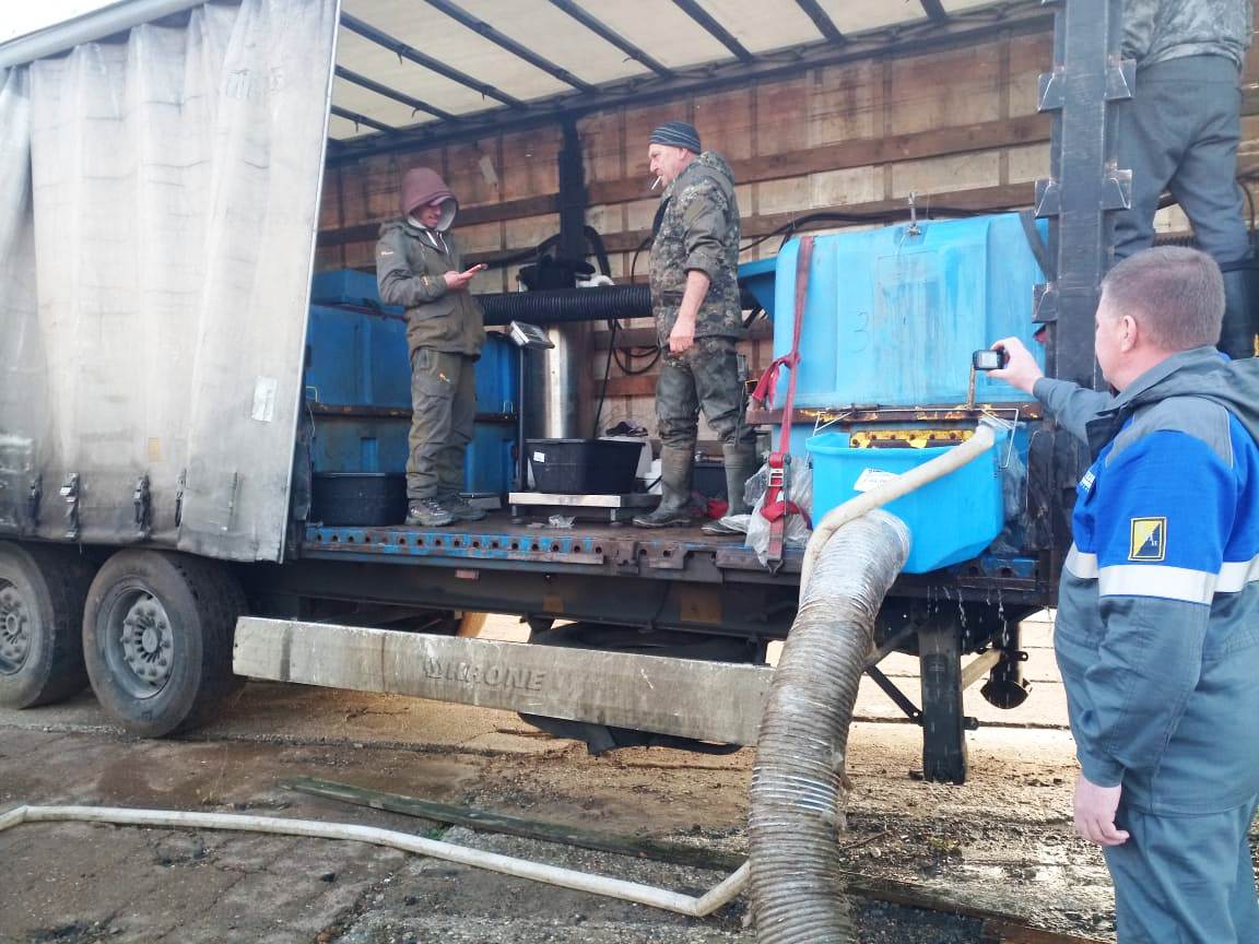 2 выпуск ряр 5.11.25.jpg