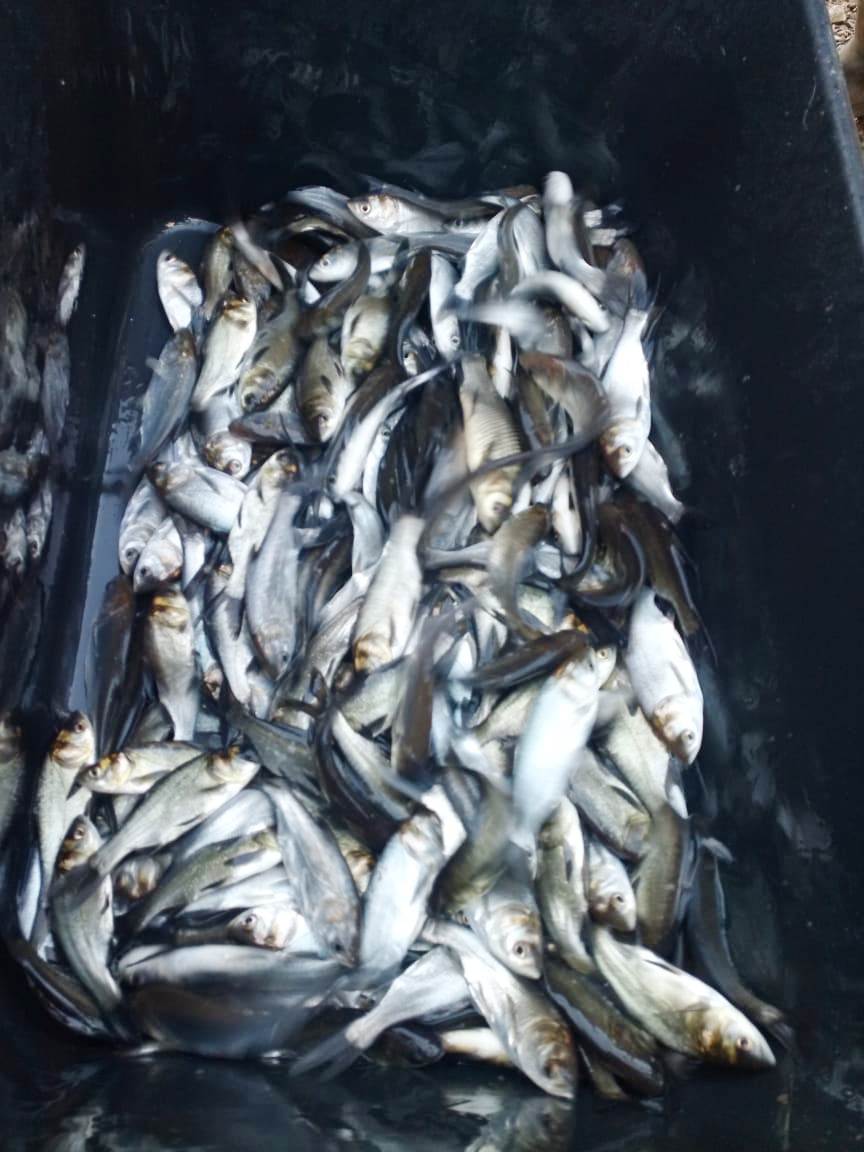 3 выпуск ряр 5.11.25.jpg