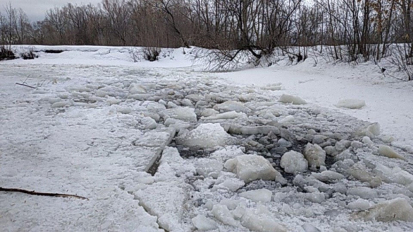 Саратовские реки вскроются ото льда на 8-10 дней раньше срока