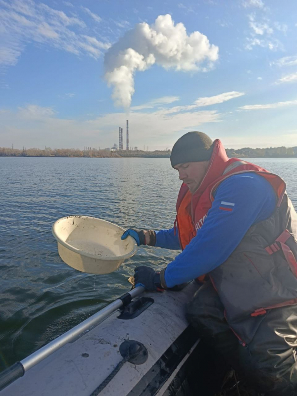 Специалистами Саратовского филиала ГНЦ РФ ФГБНУ «ВНИРО» проведены мониторинговые исследования на Ириклинском водохранилище в рамках производственно-экологического мониторинга (ПЭМ)