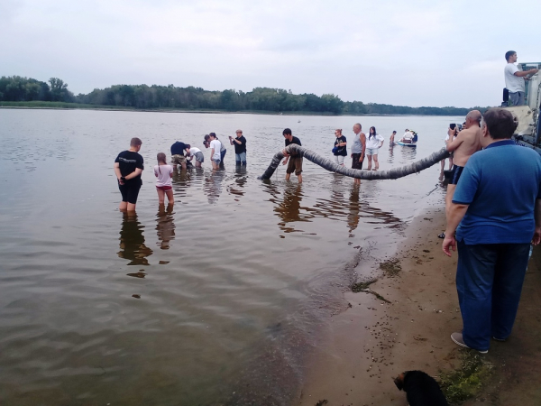 Выпуск молоди стерляди в Волгоградское водохранилище