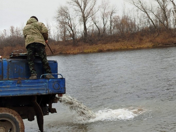 Участие в работе комиссии по искусственному воспроизводству водных биологических ресурсов