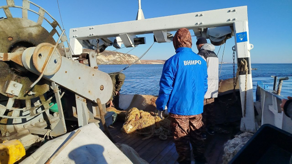 В конце октября специалисты Саратовского филиала ГНЦ РФ «ВНИРО» завершили плановую научно-исследовательскую экспедицию на НИС «Василий Васильев».