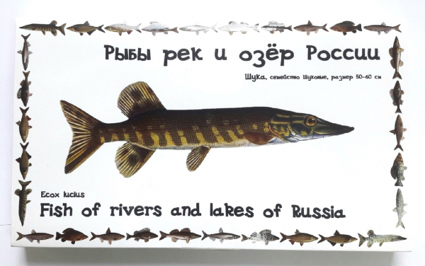 «Рыбы рек и озёр России»