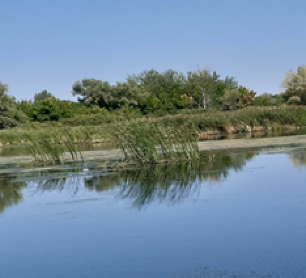 Исследования пойменных участков Волгоградского водохранилища