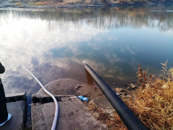 Искусственное воспроизводство водных биологических ресурсов в Саратовской области