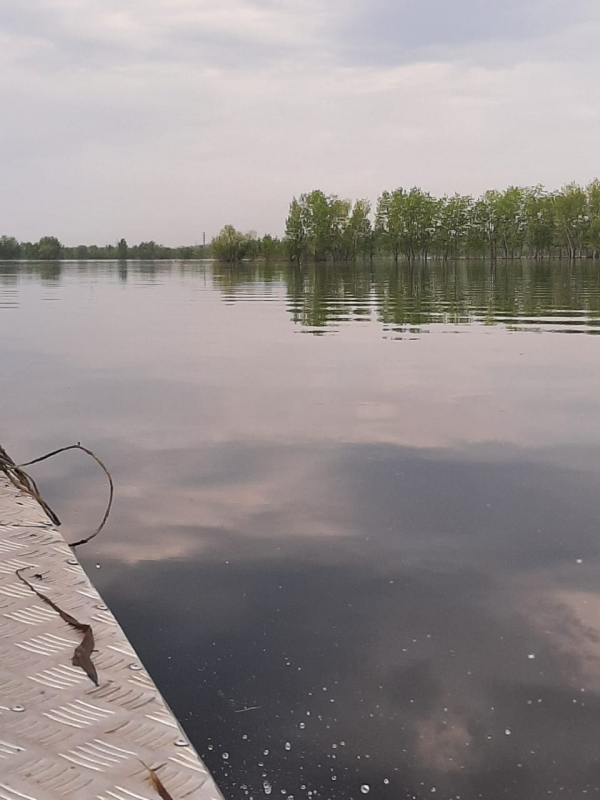 Волга без сетей